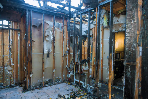 Professional Fire Damage Removal technician working in Seminole, FL