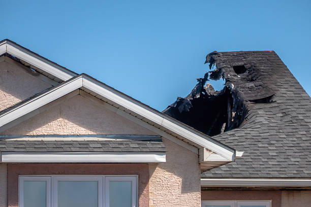 Top rated local Fire Damage Removal specialists in Seminole, FL